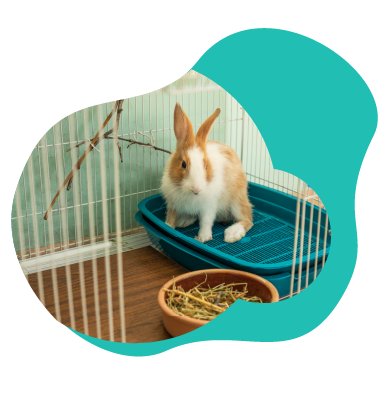 What Are the Benefits of Testosterone Therapy for Muscle Gain?